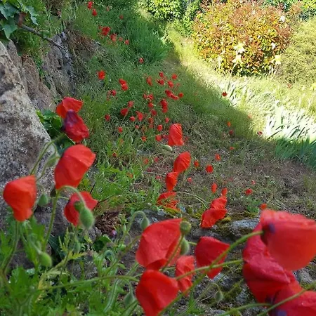 Le Du Parc Annonay