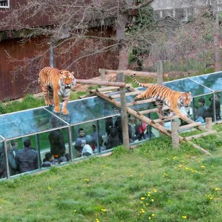 Le Du Parc Proche Du Safari Parc De Peaugres 4*