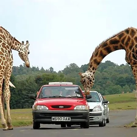 Le Du Parc Proche Du Safari Parc De Peaugres 4*